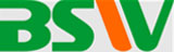 BSW