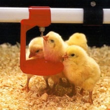 Поилки и комплектующие