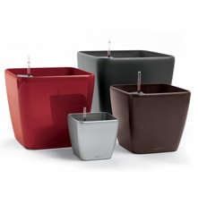 Рубрика: Емкости для растений