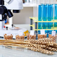 Лабораторное оборудование для зерновой промышленности