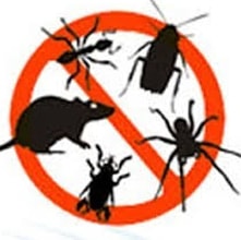 Рубрика: Защита от насекомых и грызунов