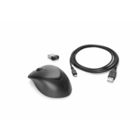Игровая мышь HP Premium Wireless Mouse Черный