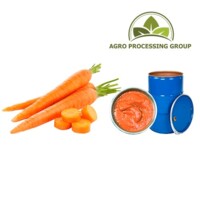 Морковное пюре (концентрат), 220 кг
