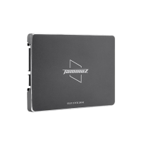 Твердотельный накопитель SSD Tammuz 1000GB GK300 SATA III