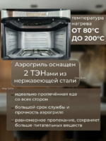 Аэрогриль и фритюрница ёмкостью 10л (Uakeen Germany), 2 тэна