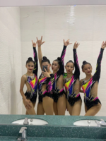 Badiiy gimnastikachi-Advanced Study School