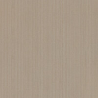 MDF Evogloss Stripes Star kremi 16x1220x2800