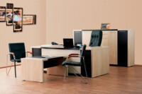 Набор офисной мебели для руководителя «агора 2»