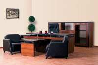 Набор офисной мебели для руководителя «агора»