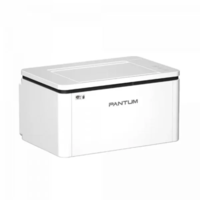 Принтер Pantum BP2300W