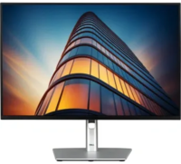 Монитор Dell P2425H (210-BMFF)