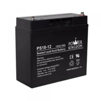 Аккумулятор Power Kingdom для ИБП 12V/18Ah-SHOP-IT