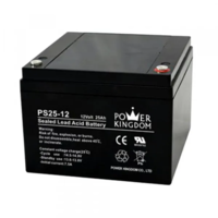Аккумулятор Power Kingdom для ИБП 12V/25Ah-SHOP-IT