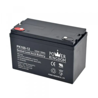 Аккумулятор Power Kingdom для ИБП 12V/100Ah-SHOP-IT