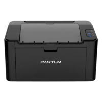 Принтер лазерный Pantum P2503-SHOP-IT
