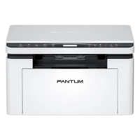 Принтер Pantum BM2300W-SHOP-IT