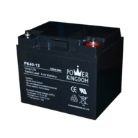 Аккумулятор Power Kingdom для ИБП 12V/40Ah-SHOP-IT
