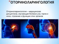 Оториноларингология