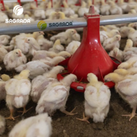 Broylerlar uchun avtomatik oziqlantiruvchilar bEST-SAGRADA