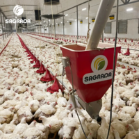 Линии кормления для бройлеров-SAGRADA
