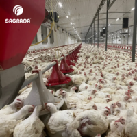 Линии кормления для бройлеров