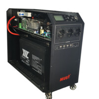 Инвертор MUST 1 kw MTTP контроллером.