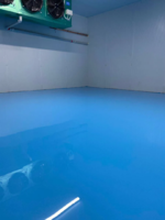 Полимерный пол из Эпоксидной Смолы