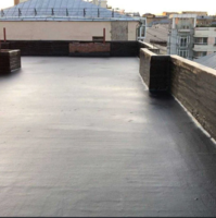 Полимочевина