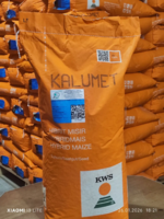 Семена Кукурузы Зерно Макка Дон Силос Продукция компании KWS SAAT SE & Co. KGaA Германия