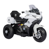 Детский Электромотоцикл Didit DMT-1688 Белый