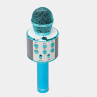 Микрофон WSTER WS-858