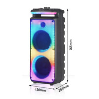 NDR-X898 2 ta mikrofon portativ akustika tizimi