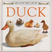A Dorling Kindersley Book: Duck (See How They Grow) (used)