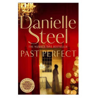 Danielle Steel: Past Perfect (used)