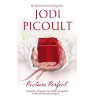 Jodi Picoult: Picture Perfect (used)