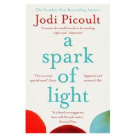 Jodi Picoult: A spark of light