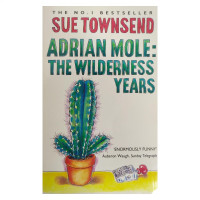 Sue Townsend: Adrian Mole. The wilderness years