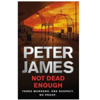 Peter James: Not Dead Enough (used)