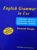 Raymond Murphy: English Grammar in Use (Blue)