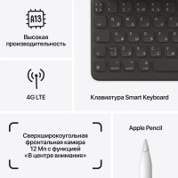 Планшет Apple iPad 9 (2021) 256Gb Wi-Fi+4G Gray