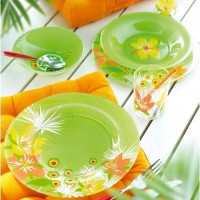Столовый сервиз Luminarc Pop flower green 46 предметов
