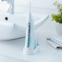 Ирригатор Panasonic EW1313G