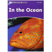 Richard Northcott: In the Ocean (with activity book)