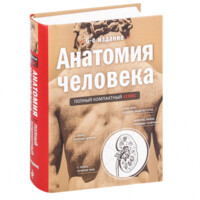 Юрий Боянович: Анатомия человека. Полный компактный атлас (А6)
