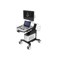 Danus 30 yuqori sinf ultratovush diagnostika tizimi-ILENMED