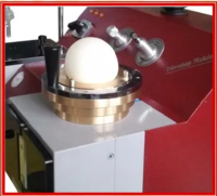 Анализатор реологических свойств зерна, муки РЕОГРАФ (REOGRAPH, АЛЬВЕОГРАФ)