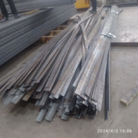 Металлическая полоса-METALL PROFIL